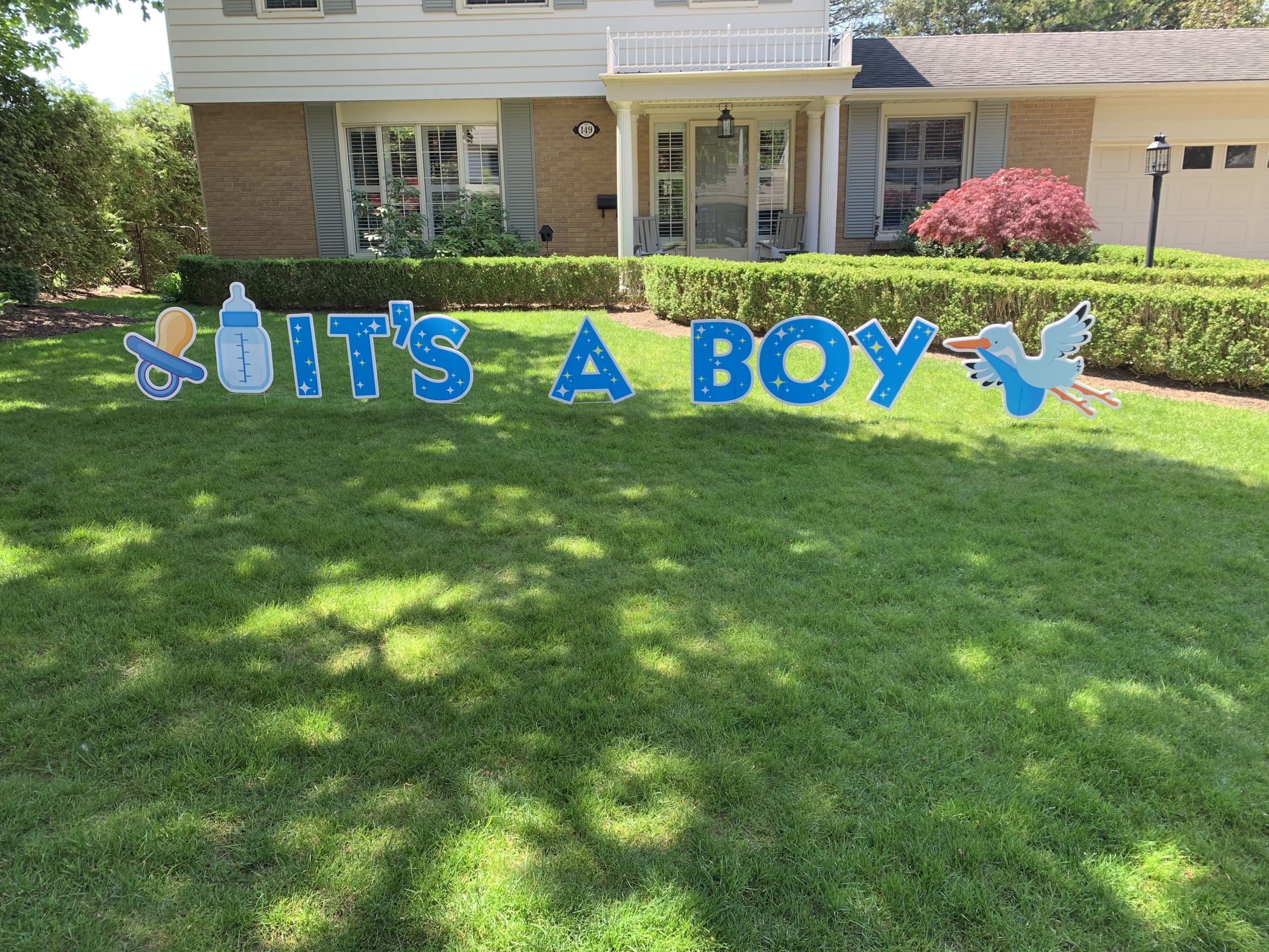 boy