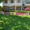 its a girl lawn sign